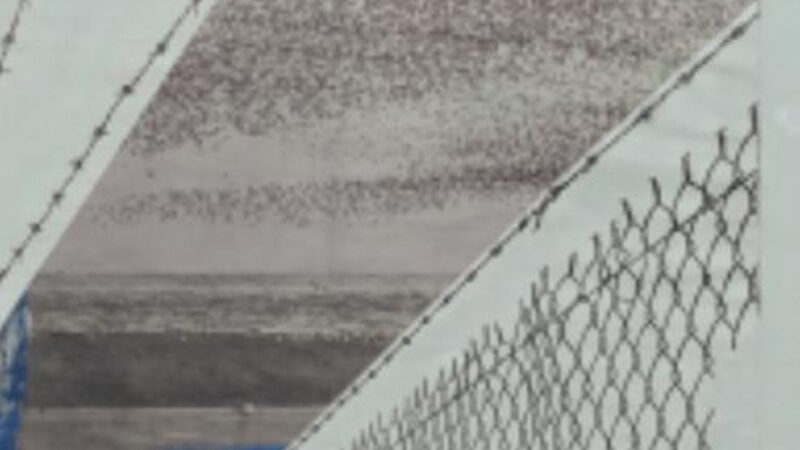 De vreemdeling van toen en nu