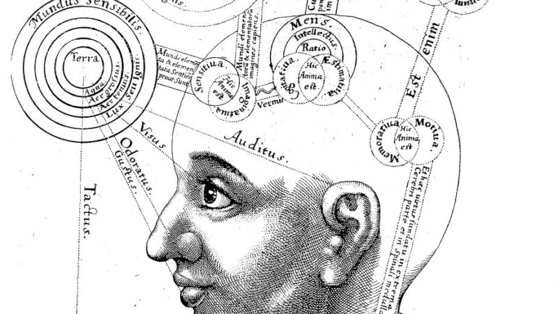 Fenomenologie: de wereld zoals wij die ervaren