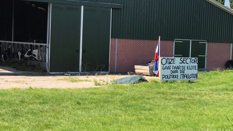 Foto: Remko van Broekhoven