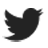 twitter-white